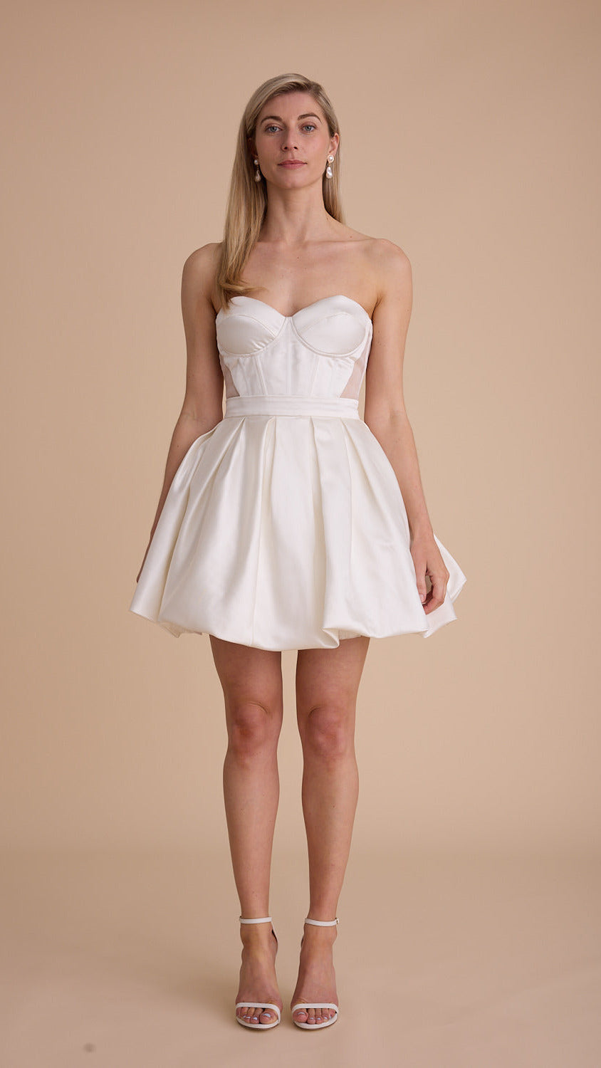 Satin Swans Corset