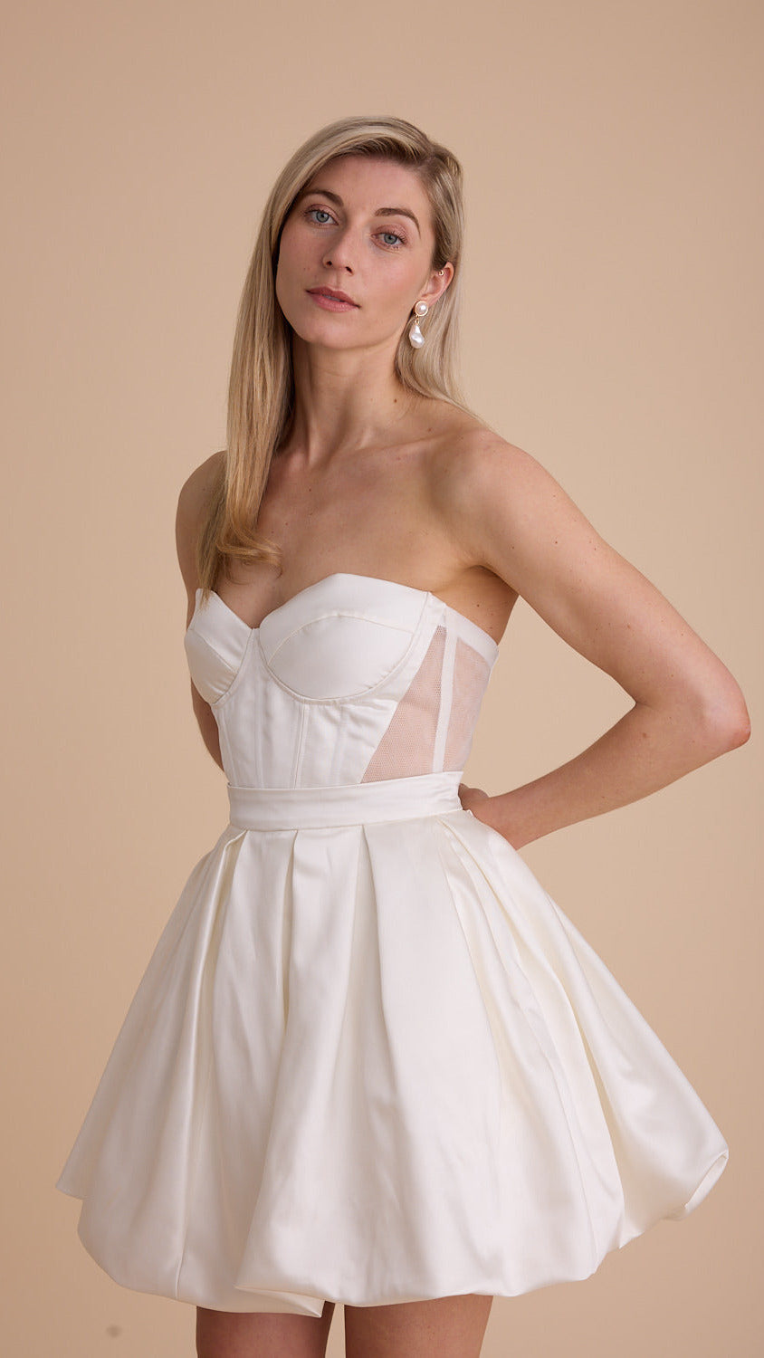 Satin Swans Corset