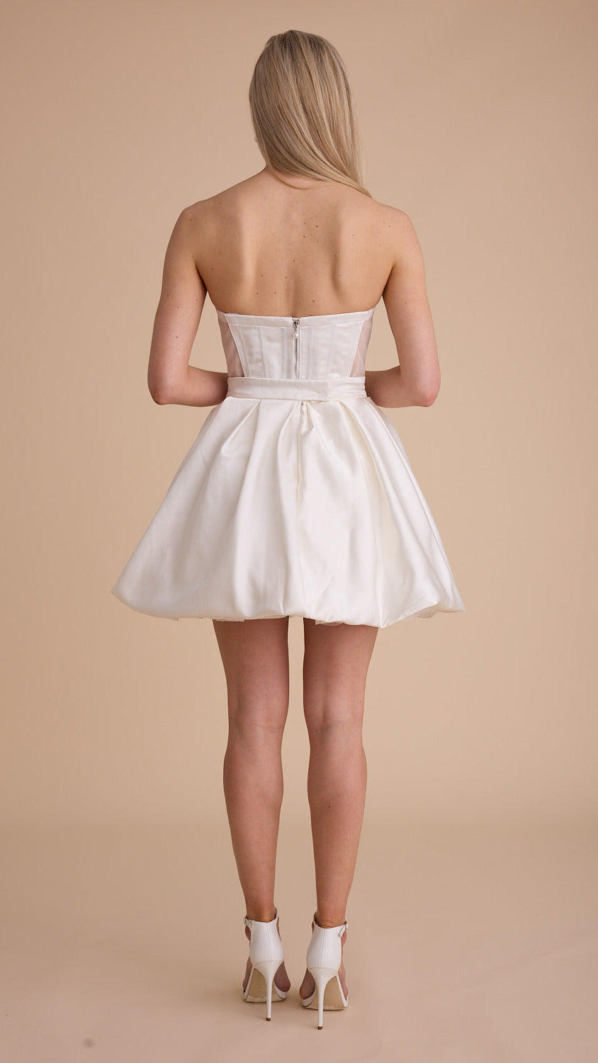 Satin Swans Corset
