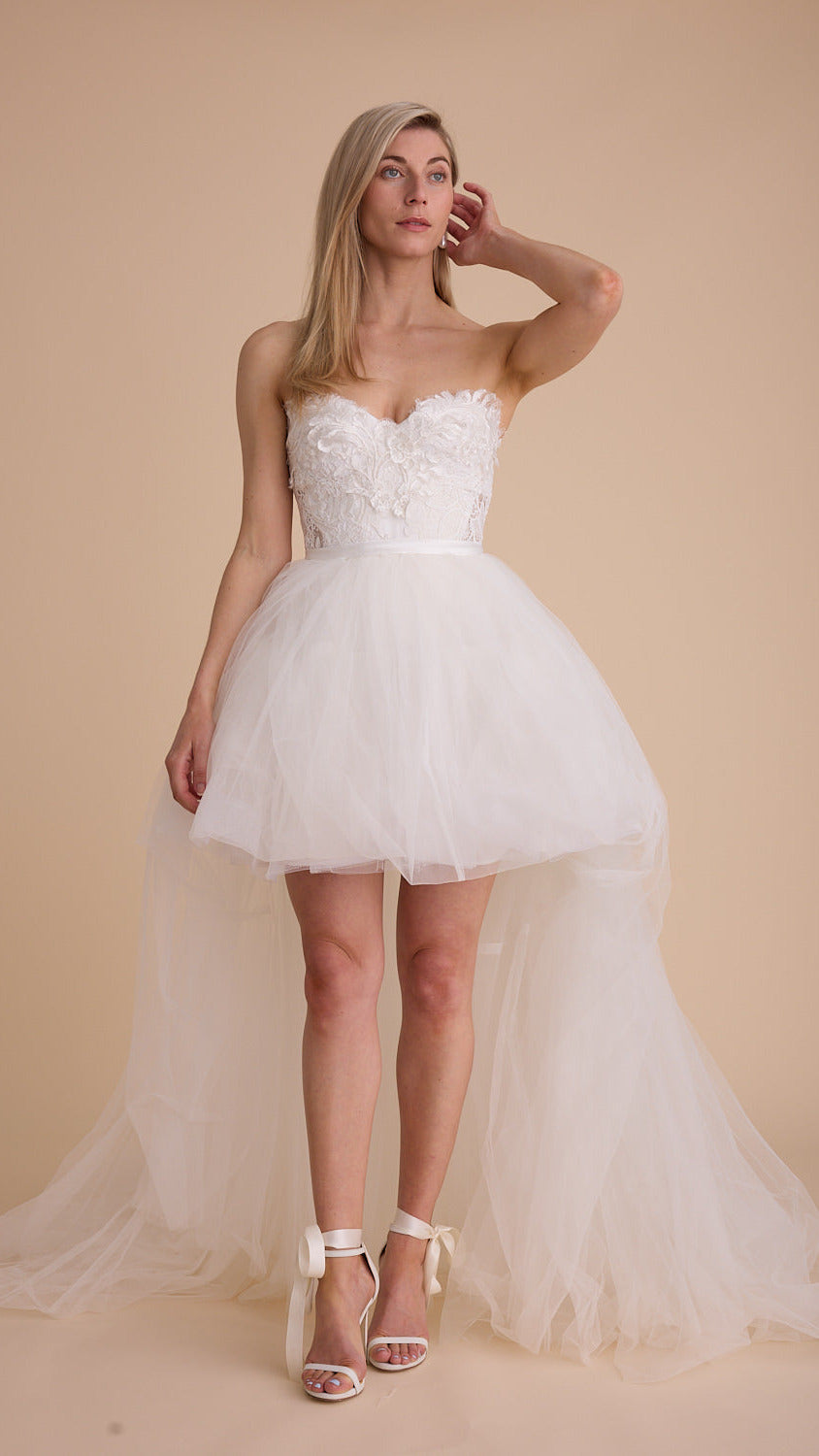 Lace Swans Corset